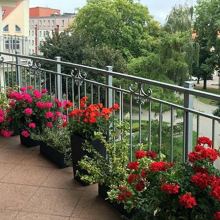 Apartament Polonia エウク エクステリア 写真
