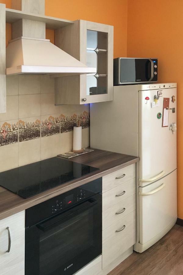 Apartament Polonia エウク エクステリア 写真
